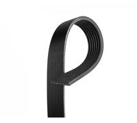 GATES 7PK2005 Cinghia servizi