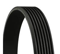 Cinghia Poly-V CONTINENTAL 7PK2035
