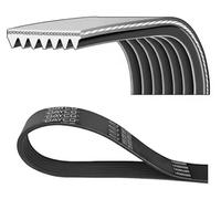 Cinghia trapezoidale multirighe 7PK2061 DAYCO per HONDA INFINITI NISSAN