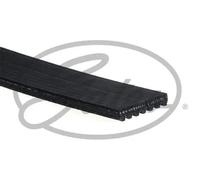 Cinghia trapezoidale multirighe 7PK2080 GATES per LAND ROVER HONDA