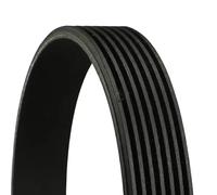 ContiTech Cinghia servizi 7PK2682 Poly-V per Ford