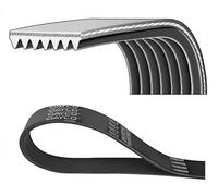 Cinghia Poly-V DAYCO 7PK990