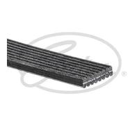 Cinghia Poly-V GATES 8DPK1445