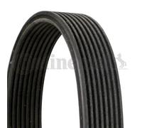 CONTITECH 8DPK1827 Cinghia servizi