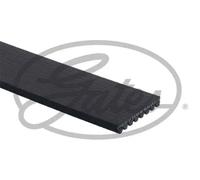 Cinghia trapezoidale multirighe 8PK1120EST GATES per BMW ALPINA
