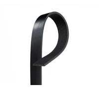 Cinghia Poly-V GATES 8PK1120EST