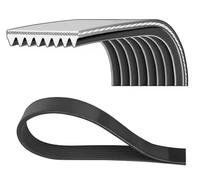 Cinghia Poly-V DAYCO 8PK1240HD
