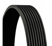 Cintura a V CONTITECH 8PK1247 per MERCEDES-BENZ ATEGO 4.2 1998-2004