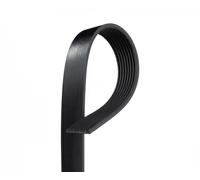 Cinghia Poly-V GATES 8PK1310XS