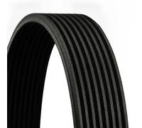 CONTITECH 8PK1325 Cinghia servizi