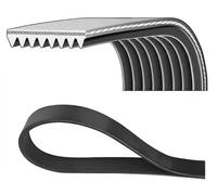 DAYCO 8PK1700HD Cinghia servizi