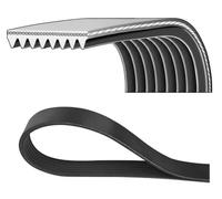 DAYCO 8PK1790HD Cinghia servizi