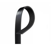 GATES 8PK1910HD Cinghia servizi
