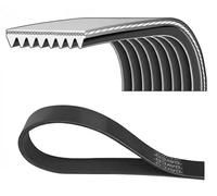 DAYCO 8PK1970HD Cinghia servizi