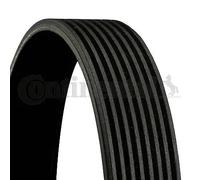 Cinghia trapezoidale multirighe 8PK2035 CONTINENTAL CTAM per MERCEDES-BENZ