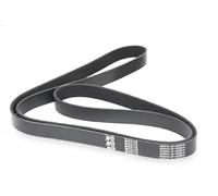 JAPKO 8PK2175 Cinghia servizi