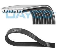 Cinghia Poly-V DAYCO 8PK2282HD