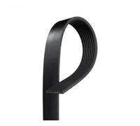 GATES 8PK2513 Cinghia servizi nero | Compatibile con: LAND ROVER RANGE III, LAND RANGE SPORT I