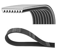 DAYCO 8PK2515HD Cinghia servizi