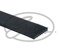 Cinghia trapezoidale multirighe 9PK1425AHD GATES per DAF XF 105 CF 85