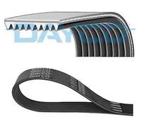 Cinghia trapezoidale multirighe 9PK1610HD DAYCO