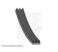 Cinghia trapezoidale multirighe AD03R668 BLUE PRINT per CHEVROLET FIAT LANCIA