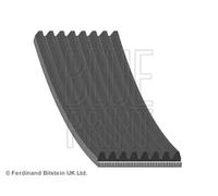 Cinghia trapezoidale multirighe AD08R1225 BLUE PRINT per MAZDA DAF