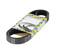 Cinghia trapezoidale multirighe CA3PK1042 SNR per RENAULT KANGOO CLIO II