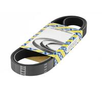 SNR CA3PK630 Cinghia servizi