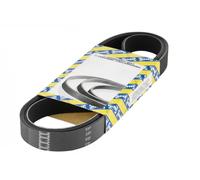 SNR CA4PK1015 Cinghia servizi
