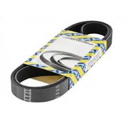 Cinghia trapezoidale multirighe CA4PK1020 SNR per CITROËN HONDA SUZUKI KIA