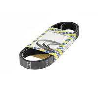 NTN-SNR Cinghia servizi CA4PK1072 multirighe A V per Renault, Honda, Rover, Lexus