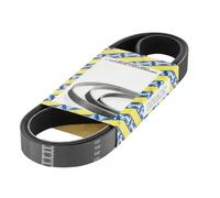 SNR CA4PK1770 Cinghia servizi