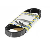 SNR CA4PK730 Cinghia servizi