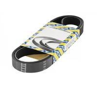 SNR CA4PK780 Cinghia servizi