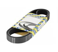 SNR CA4PK823 Cinghia servizi