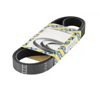 SNR CA4PK835 Cinghia servizi