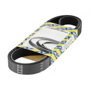 SNR CA4PK946 Cinghia servizi