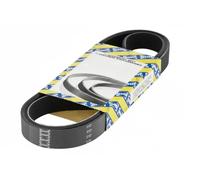SNR CA4PK954 Cinghia servizi