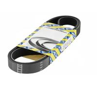 NTN-SNR Cinghia servizi CA4PK970 Poly-V per BMW, KIA, Mitsubishi, Honda