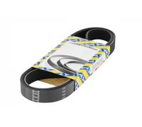NTN-SNR Cinghia servizi CA5PK1030