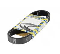 SNR CA5PK1040 Cinghia servizi