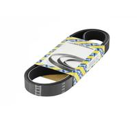 SNR CA5PK1110 Cinghia servizi