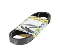 SNR CA5PK1130 Cinghia servizi
