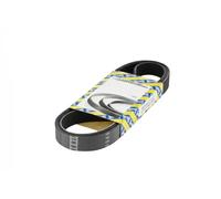 SNR CA5PK1146 Cinghia servizi