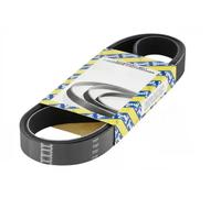 SNR CA5PK1230 Cinghia servizi