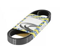 NTN-SNR Cinghia servizi CA5PK1255 trapezoidale multirighe per OPEL KIA HYUNDAI
