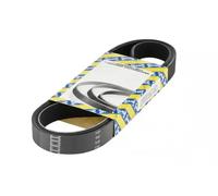 SNR CA5PK1715 Cinghia servizi