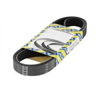 SNR CA5PK1745 Cinghia Poly-V per HYUNDAI,KIA,MERCEDES-BENZ