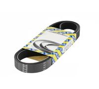 Cinghia trapezoidale multirighe CA5PK1750 SNR per RENAULT DACIA MERCEDES-BENZ